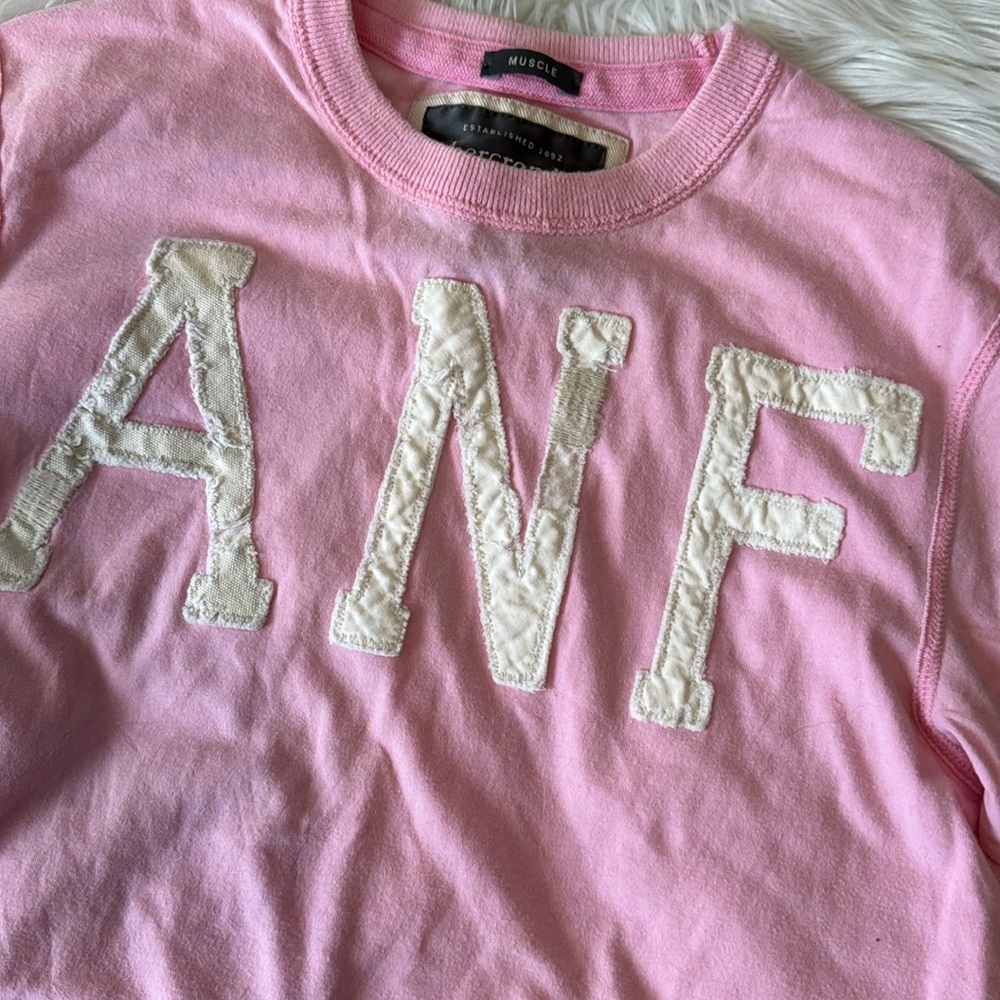 A B E R C R O M B I E & F I T C H Vintage Y2k Log… - image 2